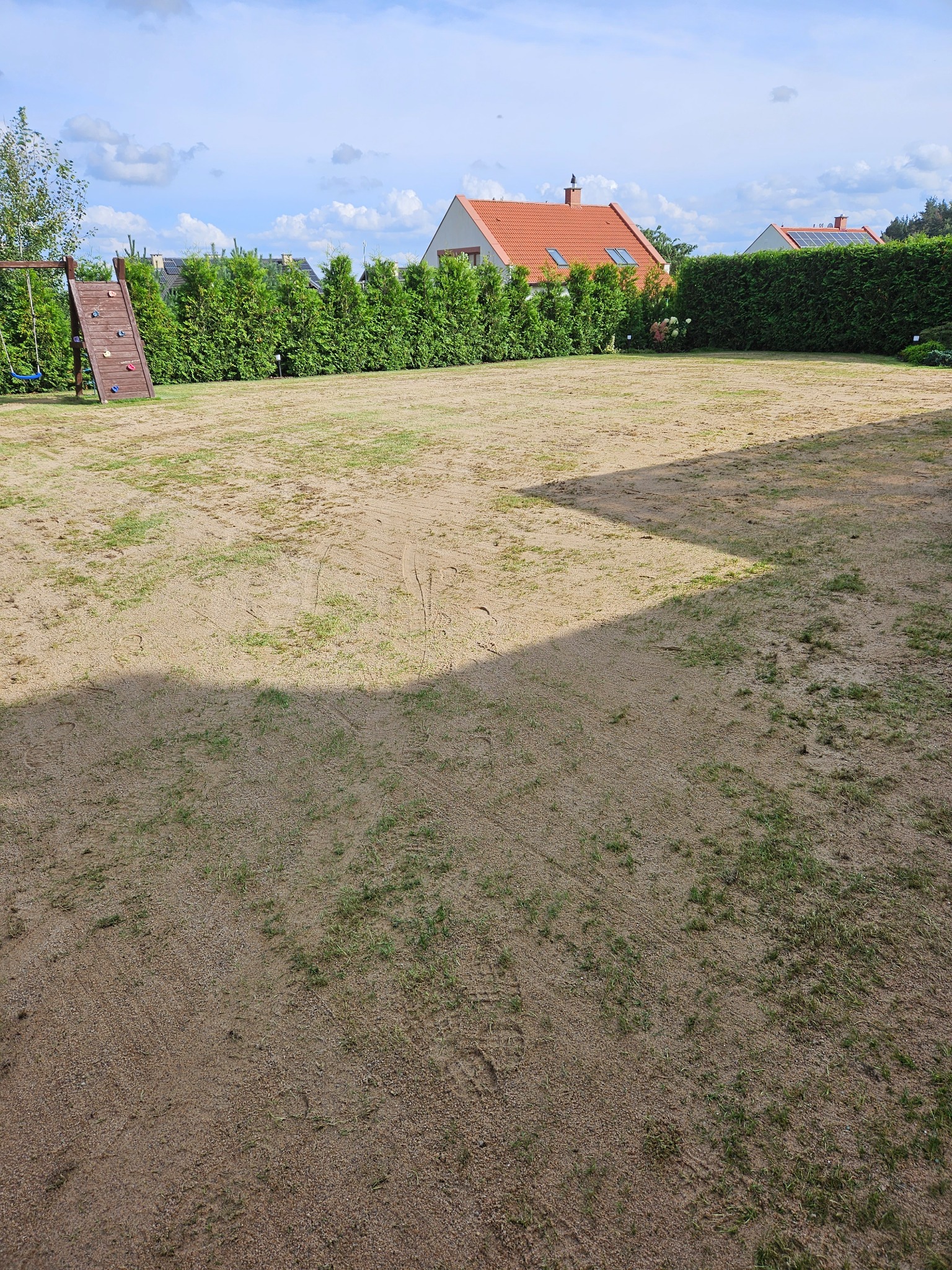 Trawnik po renowacji, zawierającej, koszenie, wertykulację, aerację otworową, nawożenie i piaskowanie z poziomowaniem.