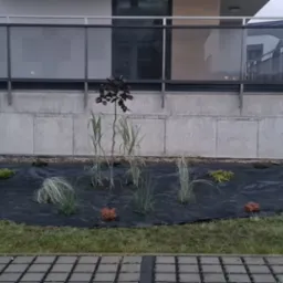 Nowo założony ogród z czarną agrowłókniną, świeżo posadzone rośliny ozdobne, trawy i małe drzewko, w tle betonowy budynek mieszkalny i czerwony samochód.