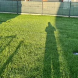 Świeżo założony trawnik z rolki, widoczna cień osoby fotografującej, siatka ogrodzeniowa w tle.