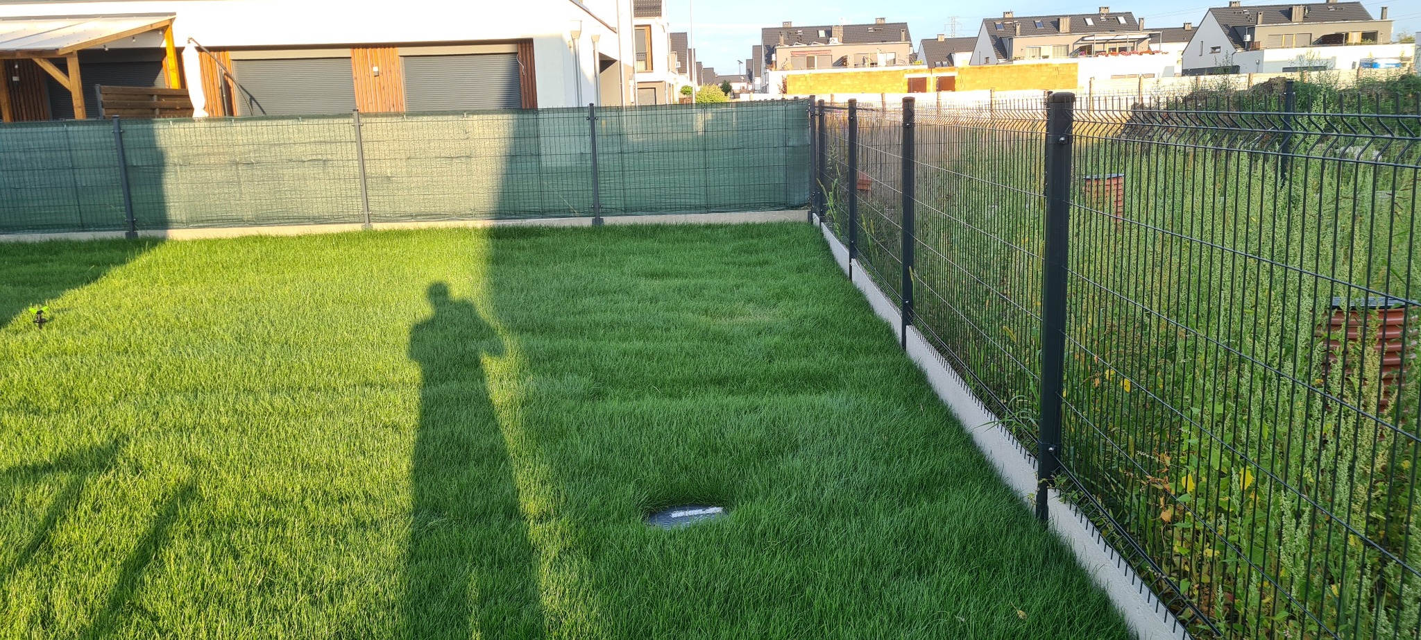 Świeżo założony trawnik z rolki, widoczny cień osoby, ogrodzenie panelowe z podmurówką, w tle zabudowa jednorodzinna.
