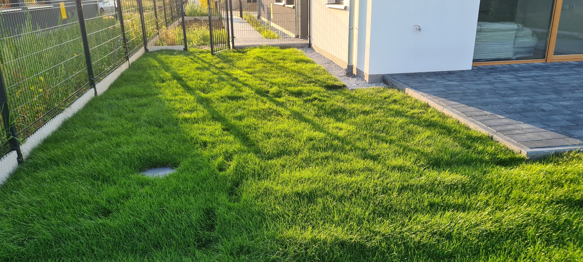 Świeżo założony trawnik z rolki, z widoczną studzienką kanalizacyjną, przylegający do nowoczesnego domu z kostką brukową i ogrodzeniem panelowym.