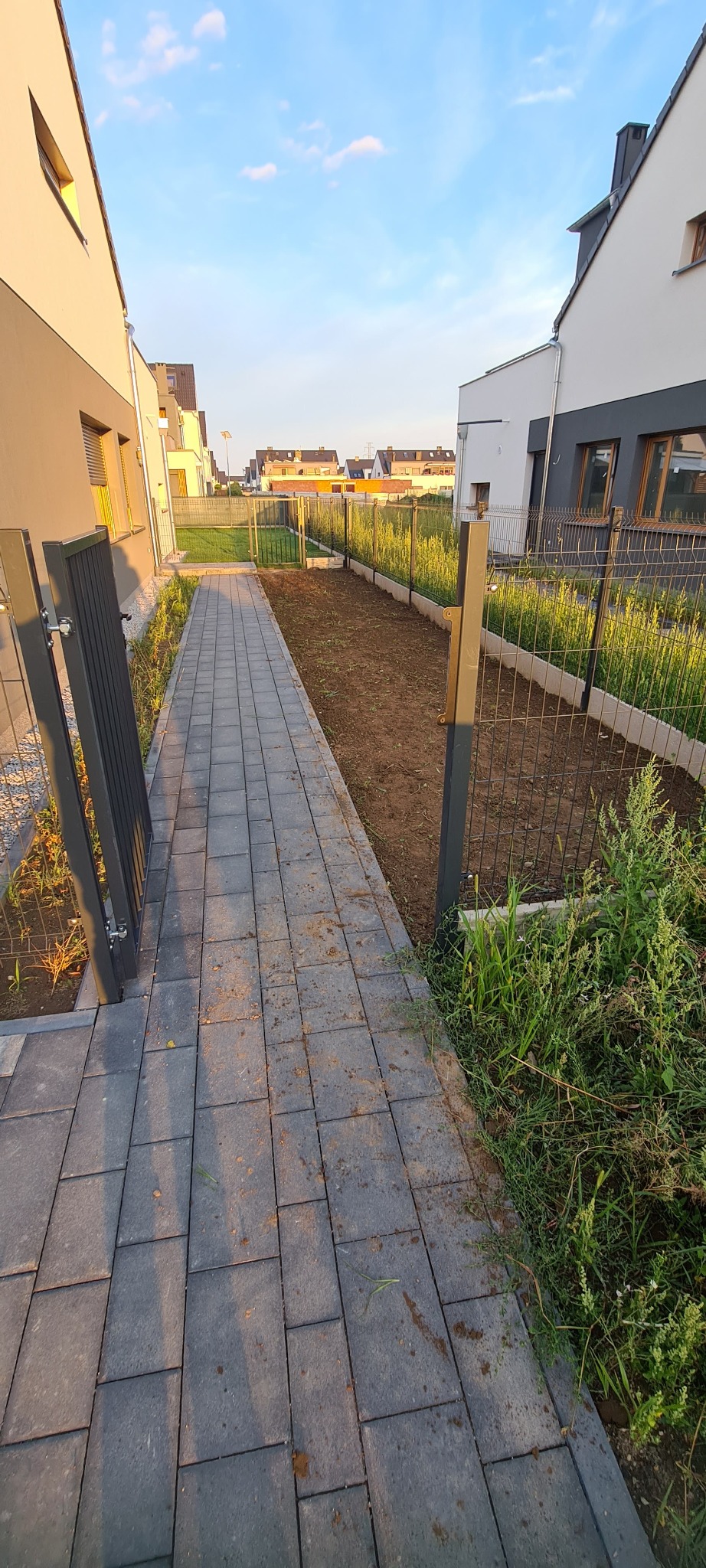 Świeżo przygotowana rabata ogrodowa z metalową siatką, widok z perspektywy ścieżki z szarej kostki brukowej pomiędzy dwoma nowoczesnymi domami.
