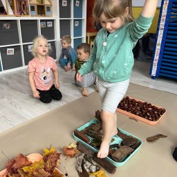 Przedszkole Niepubliczne Goleniów Wesołe Smyki - Dziewczynka balansuje stopą na korze drzewa w turkusowej tacy, obok taca z kasztanami i liśćmi, w tle bawiące się dzieci i regał z zabawkami.