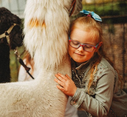 Dziewczynka w okularach i dżinsowej kurtce przytula białą alpakę z brązową plamką na szyi, w tle inne alpaki.