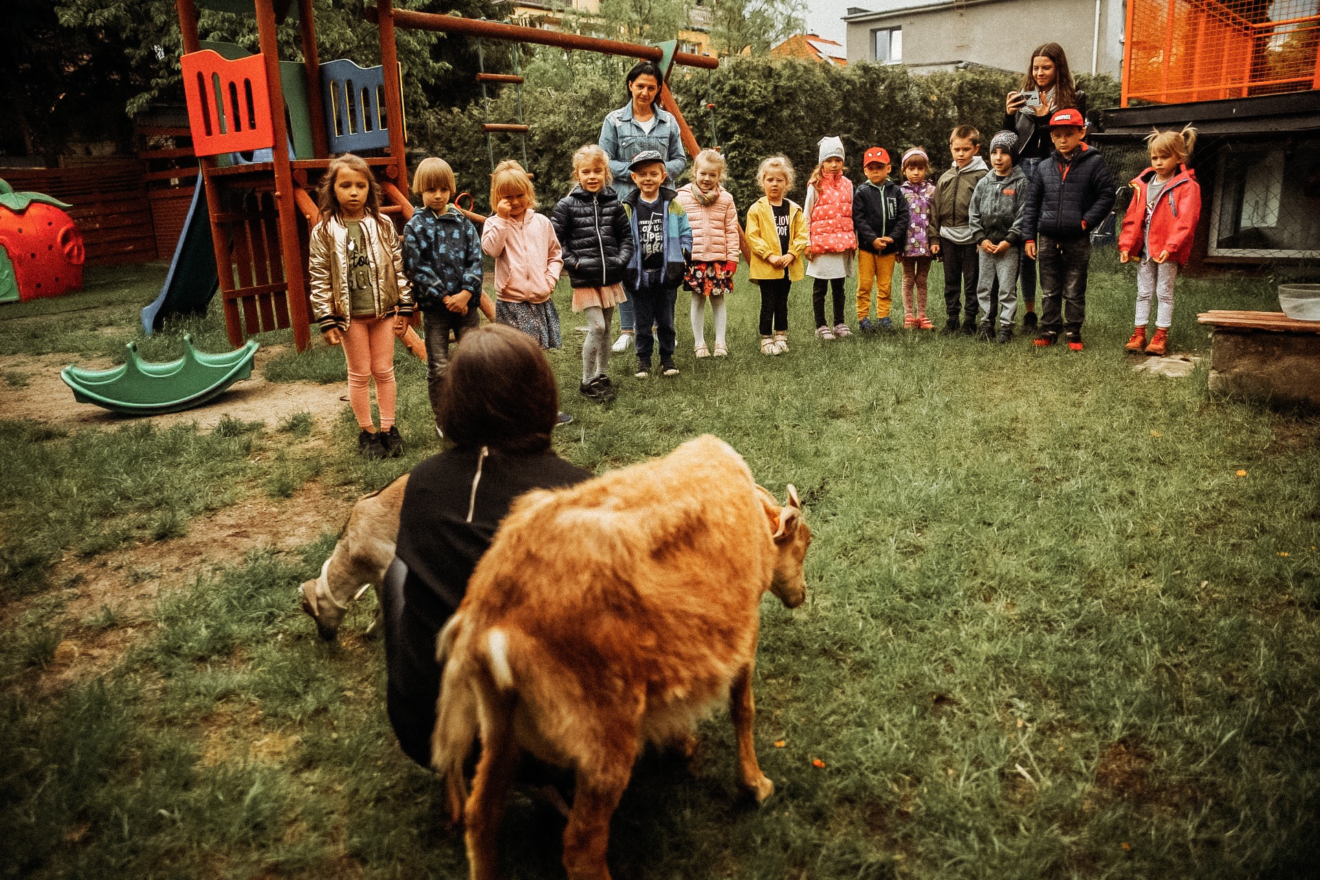 Grupa dzieci ustawiona w rzędzie na trawie, obserwowana przez dorosłą kobietę robiącą zdjęcie telefonem, z przodu kuca osoba z owcą i psem, w tle plac zabaw.