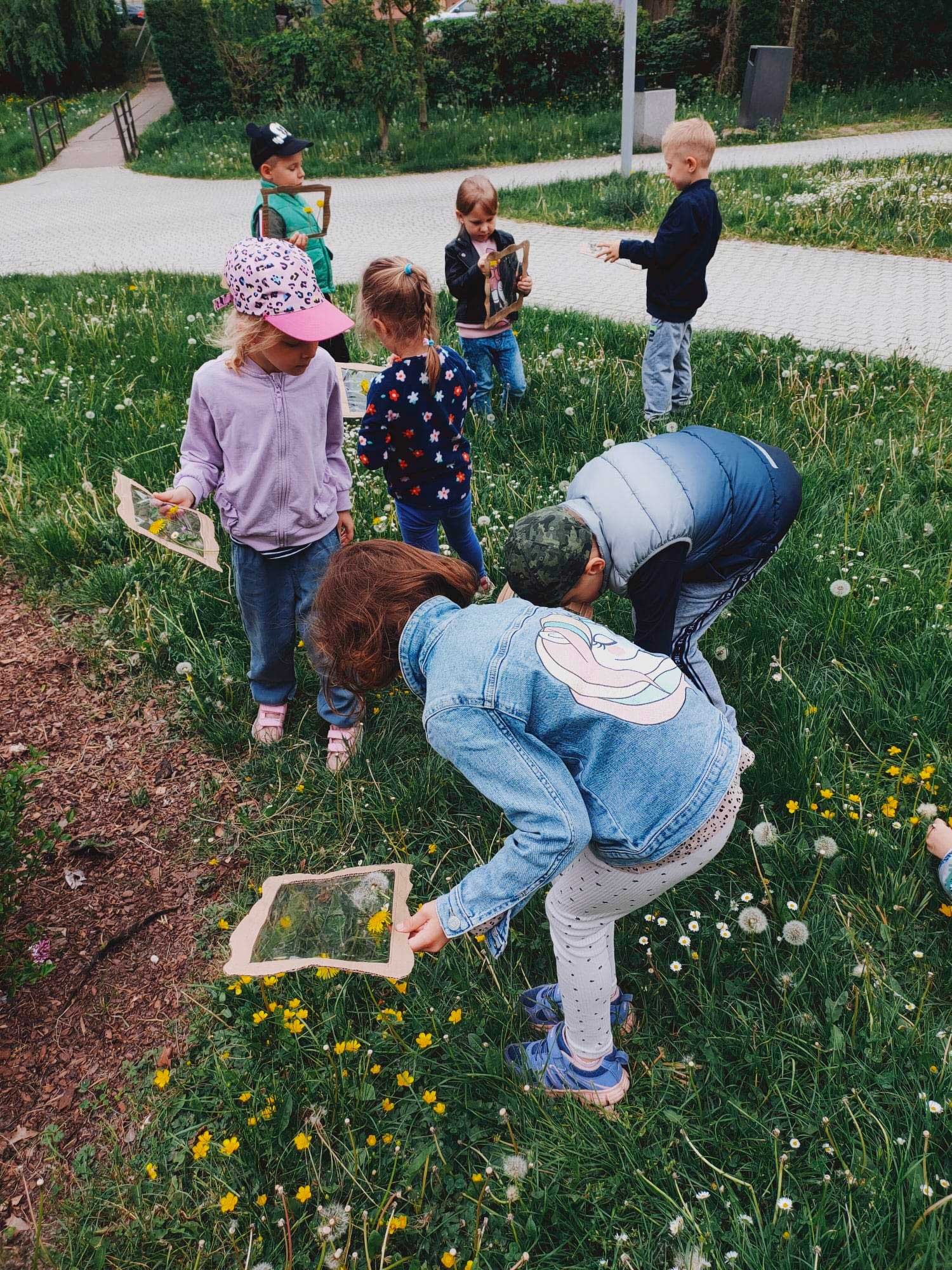 Grupa dzieci na trawie z dmuchawcami i żółtymi kwiatami, używają drewnianych ramek do obserwacji przyrody.