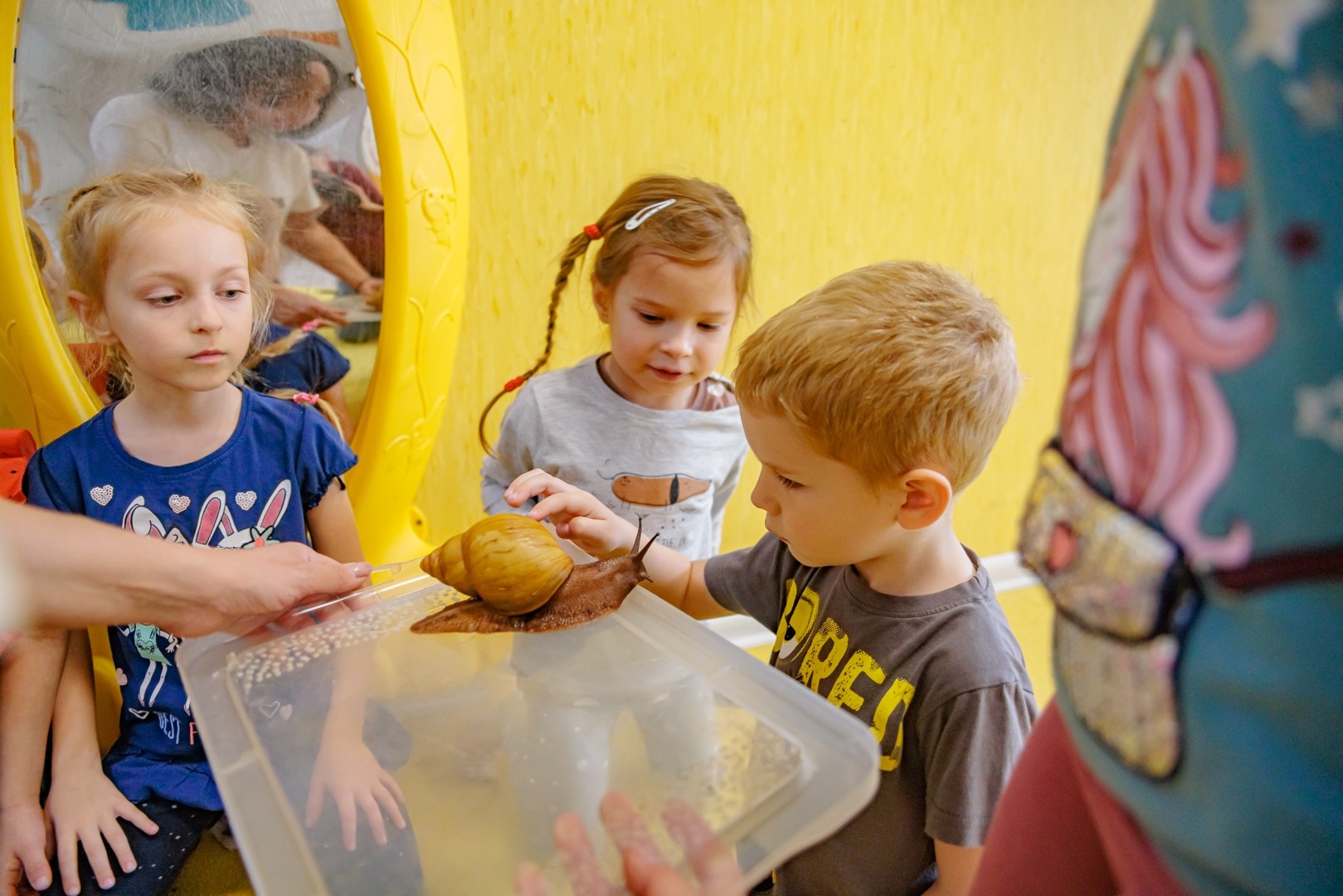 Dzieci obserwują afrykańskiego ślimaka olbrzymiego na przezroczystej tacy w jasnym, żółtym pomieszczeniu z elementami dekoracyjnymi.
