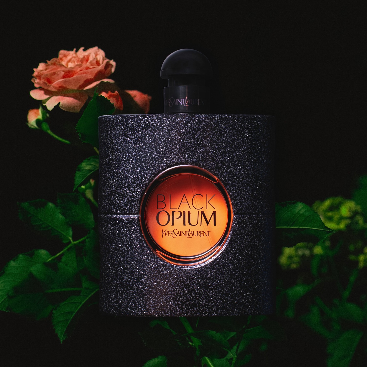 Flakon perfum Black Opium Yves Saint Laurent z efektem brokatu, otoczony zielonymi liśćmi i różową różą na ciemnym tle, z pomarańczowym logo.