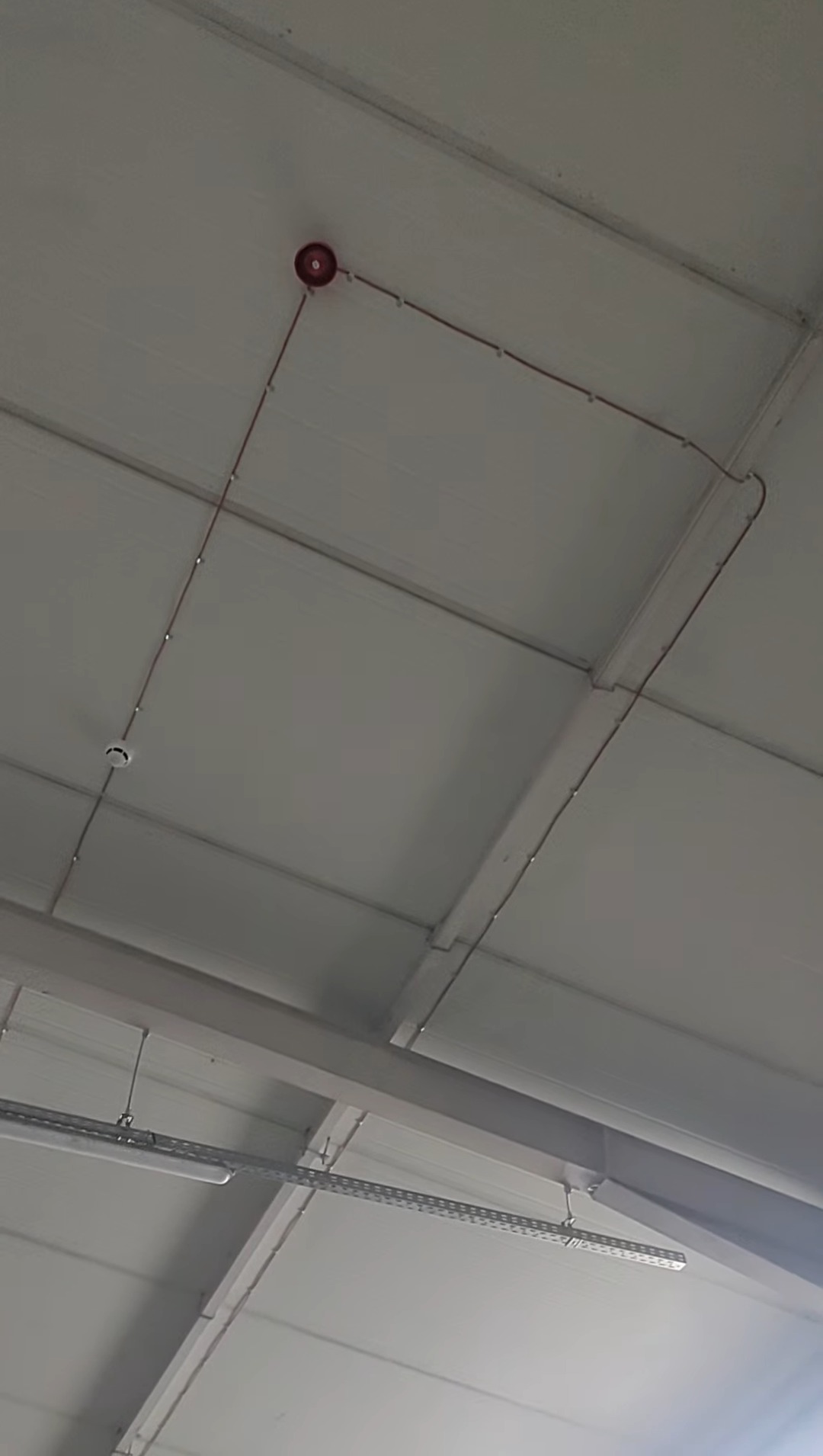 Czerwony sygnalizator pożarowy zamontowany na białym suficie z widocznymi przewodami i elementami oświetlenia. Ujęcie z dołu, perspektywa sufitu.