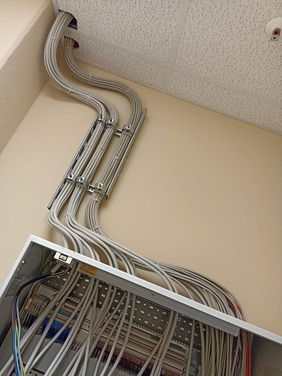 Szereg szarych kabli prowadzonych w metalowych korytkach, wychodzących z otworu w suficie podwieszanym i wchodzących do otwartej skrzynki rozdzielczej na ścianie, widok z dołu.