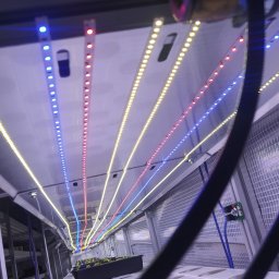 Oświetlenie LED kontenerowych upraw hudroponicznych dla firmy Leafmatic sp. z o.o.
