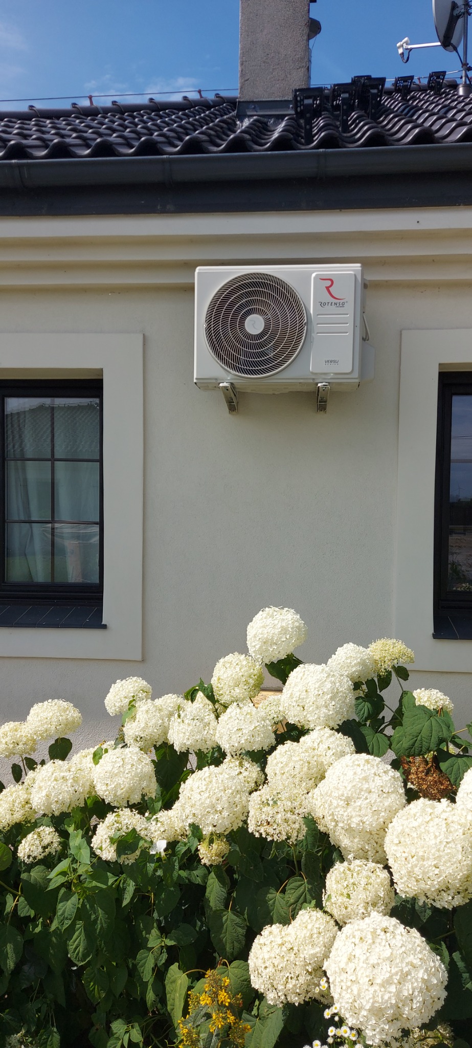 Biała jednostka zewnętrzna klimatyzacji marki Rotenso, model Versu Series, zamontowana na jasnej ścianie domu, widoczna pomiędzy dwoma oknami z czarnymi ramami, z kwitnącymi białymi hortensjami...