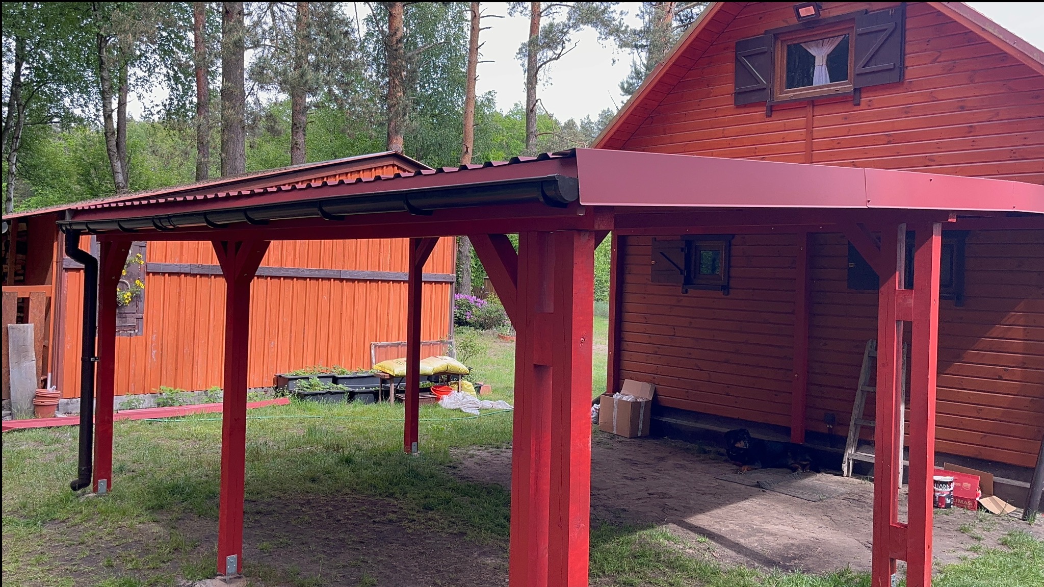 Czerwona, drewniana pergola przy domu z drewnianą elewacją. Widoczne drzewa w tle. Pergola z metalowym dachem i drewnianymi słupami. Ułożona kostka brukowa.