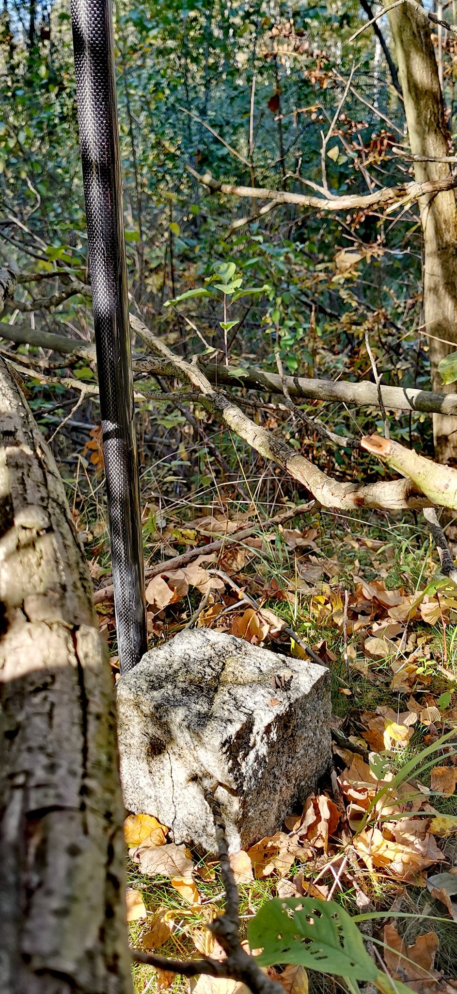 Czarny palik geodezyjny osadzony w betonowym słupku na tle jesiennego lasu, widoczny zza pnia drzewa.