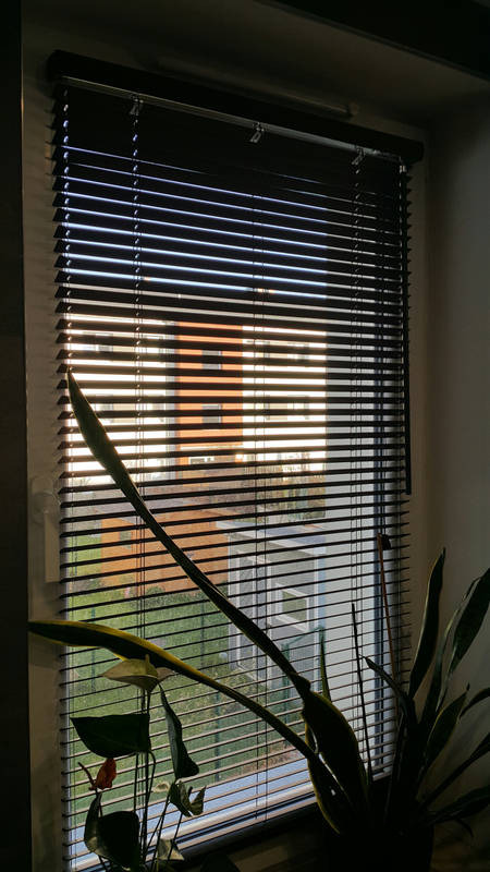 Ciemne, poziome żaluzje w oknie, częściowo zasłonięte przez roślinę doniczkową; widok na budynek i zieleń na zewnątrz.