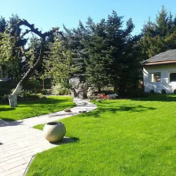 Zadbany ogród z trawnikiem, ścieżką z kostki brukowej prowadzącą do domu z panelami słonecznymi, ozdobne drzewo z bielonym pniem i donica z kamienia.