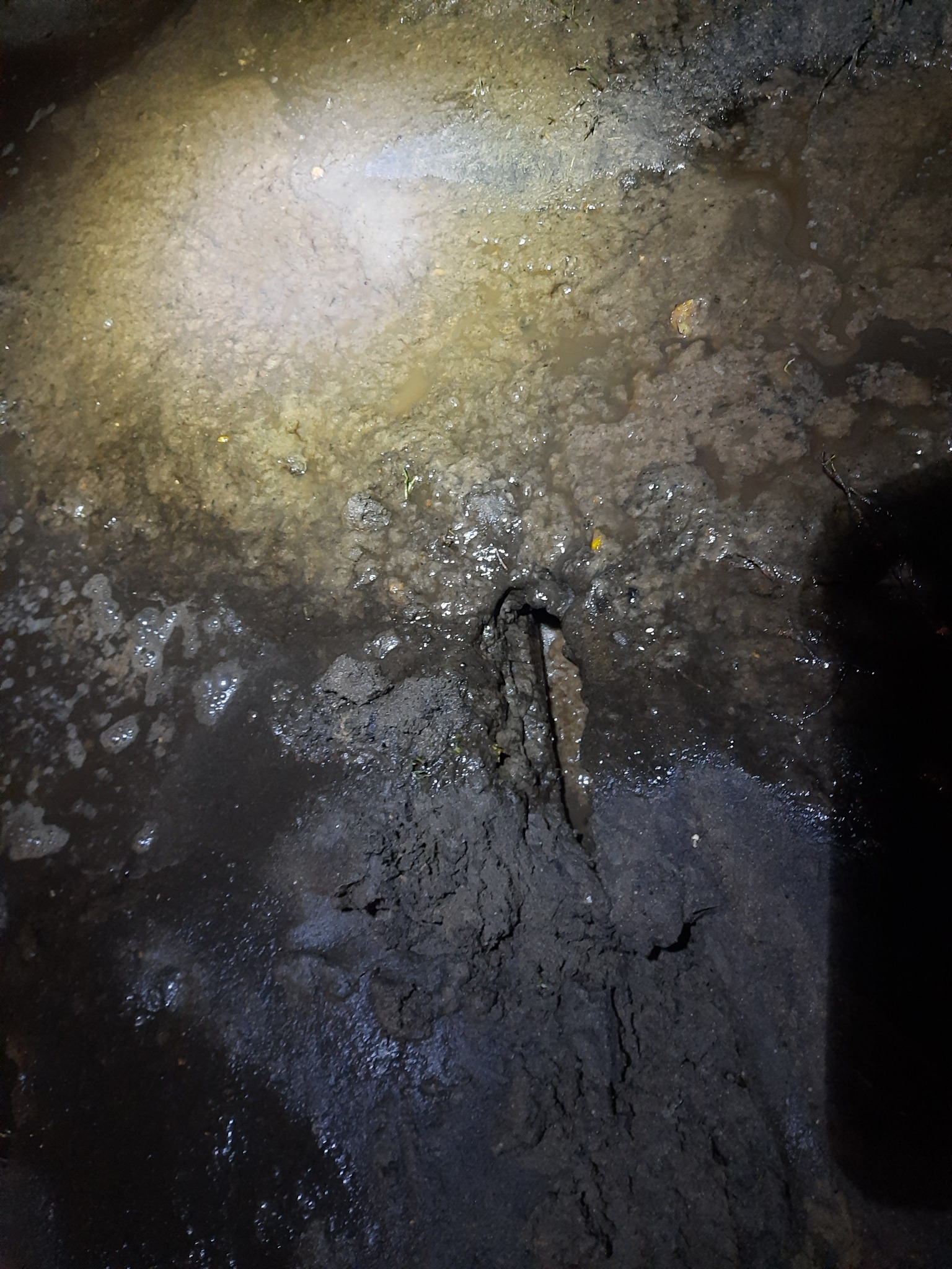 Zalana, błotnista studzienka kanalizacyjna z widocznym fragmentem rury, oświetlona od góry, ukazująca etap prac związanych z oczyszczaniem.