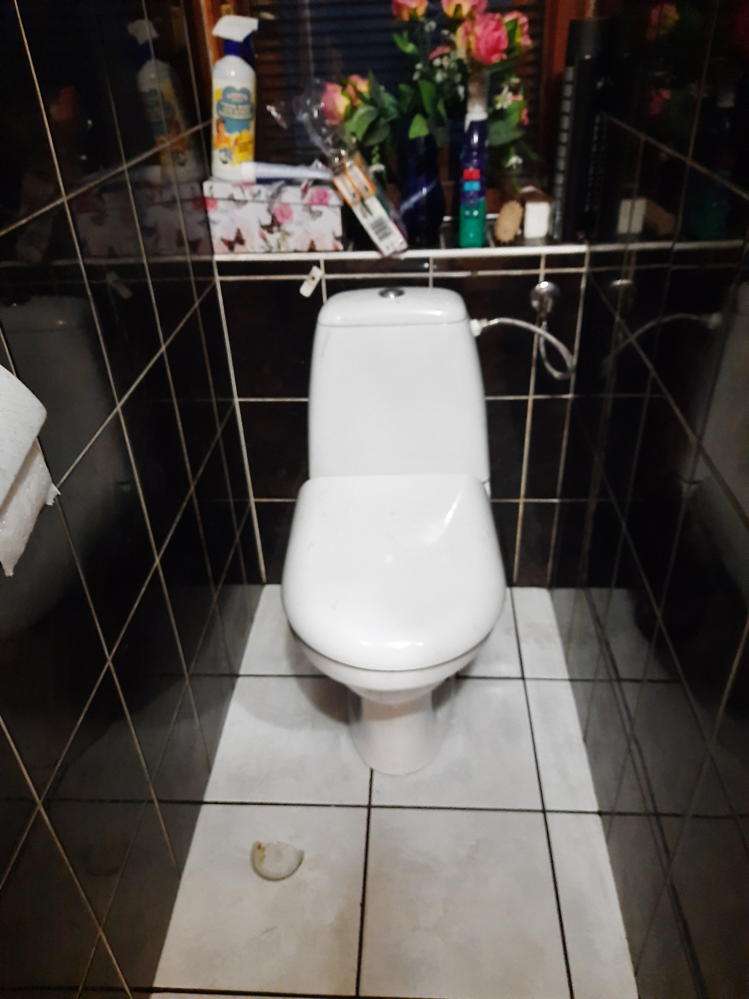 Toaleta w łazience z ciemnymi płytkami, na podłodze leży kawałek papieru lub brudu, na półce nad toaletą stoją kwiaty i środki czystości.