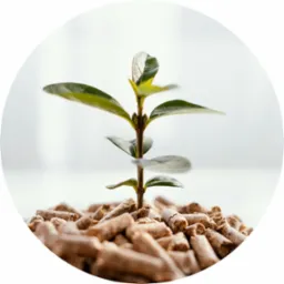 Młoda roślina wyrastająca z kupki pelletu drzewnego na tle rozmytego, jasnego okna.