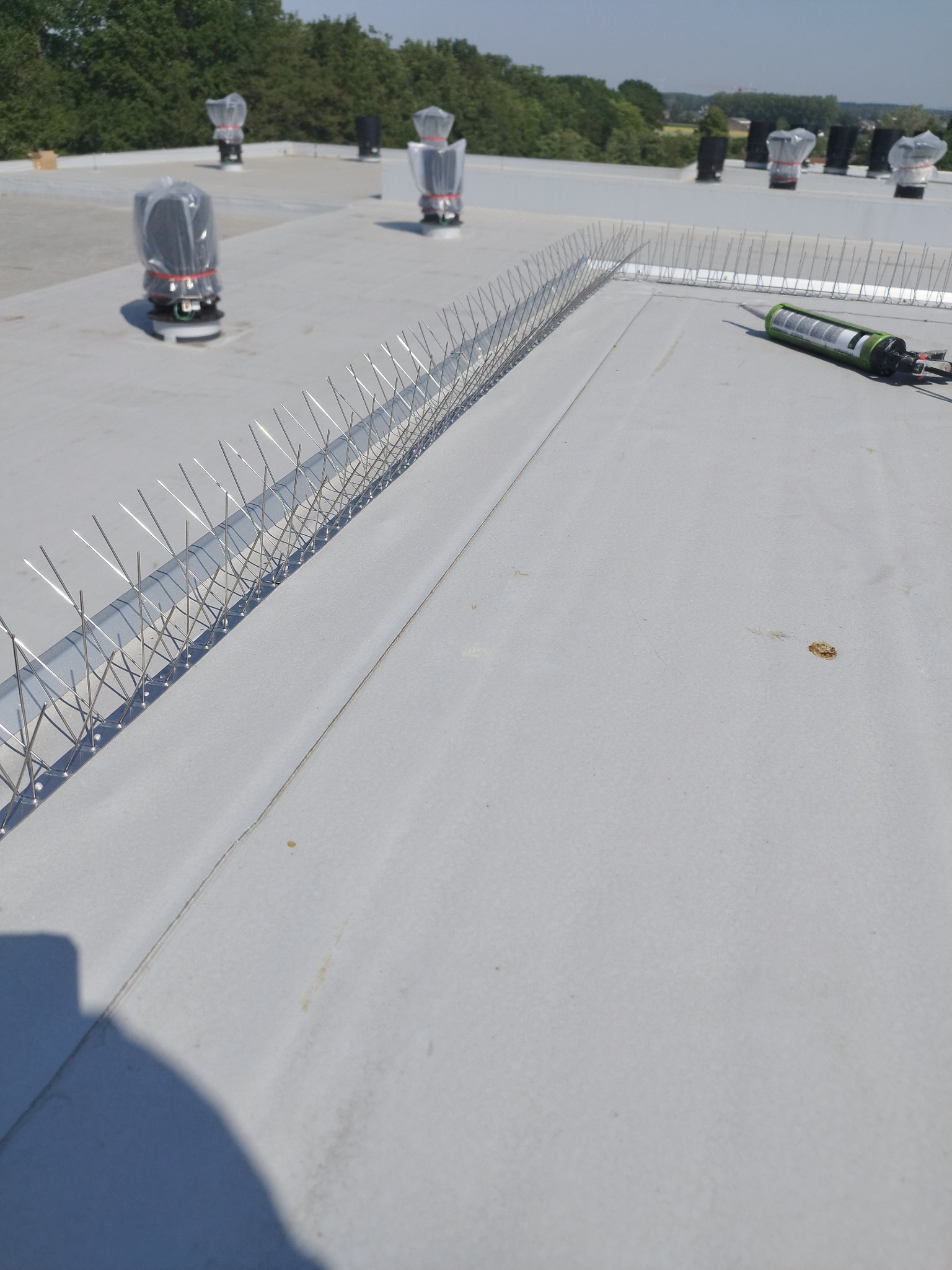 Montaż kolców przeciw ptakom na płaskim dachu, widoczny aplikator do kleju i wentylatory w plastikowych osłonach w tle.