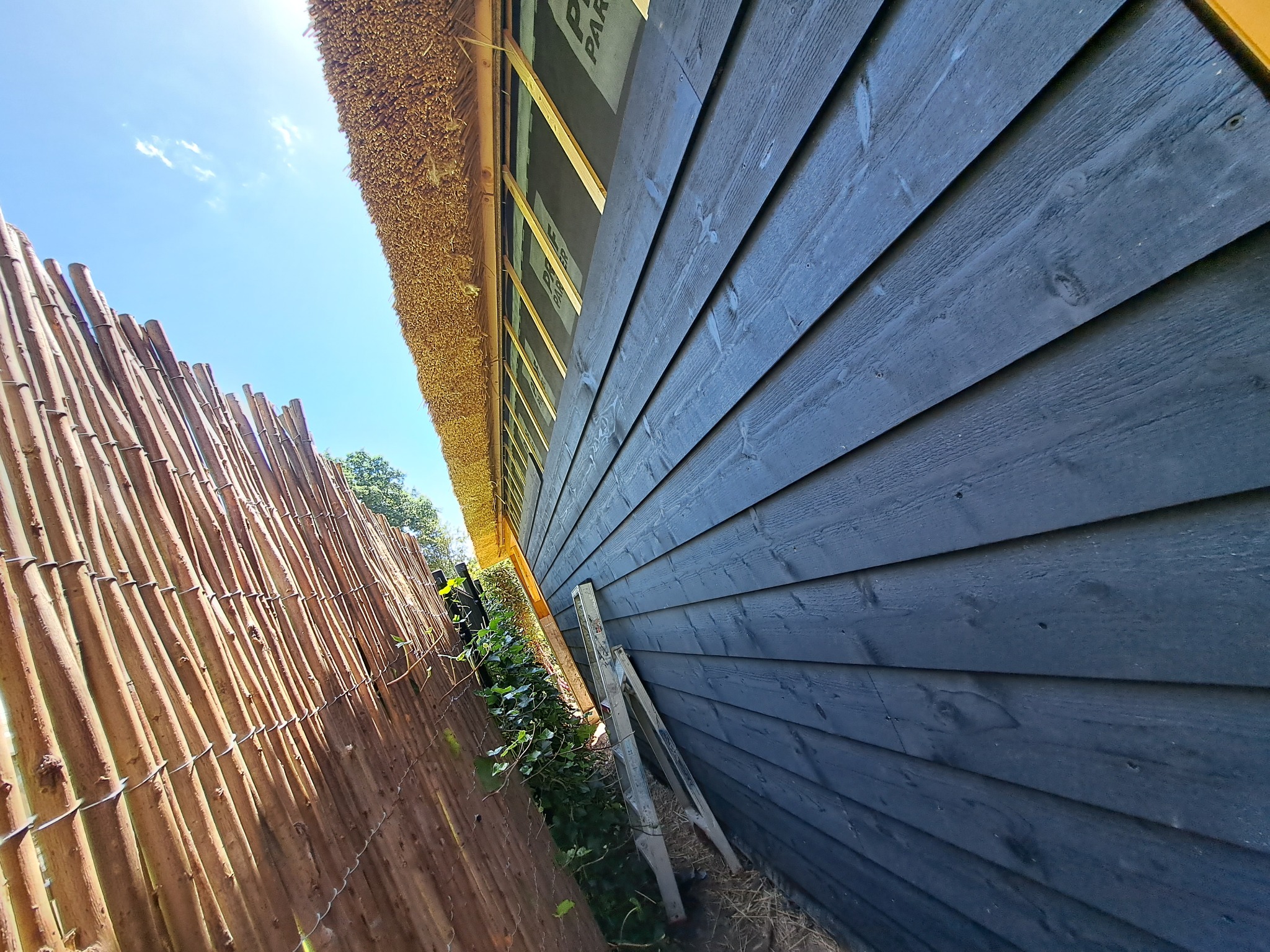 Ciemna, drewniana elewacja domu krytego strzechą w Tomaszowie Mazowieckim, widoczna z dołu, z fragmentem bambusowego ogrodzenia i drabiny opartą o ścianę.