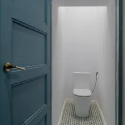 Wąska toaleta z białą muszlą klozetową, wykończona podłogą w szaro-zielone wzory, widoczna przez otwarte, niebieskie drzwi z ozdobnym uchwytem.