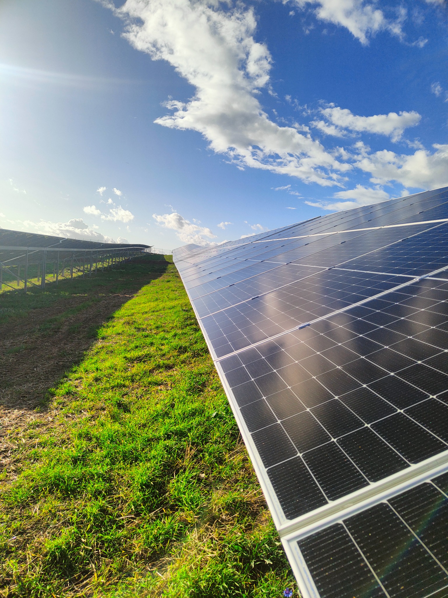 Rząd paneli słonecznych ustawionych na zielonym wzgórzu pod błękitnym niebem z chmurami, widoczne odbicia nieba na powierzchni paneli.