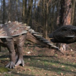 Mikołaj Wyszkowski - Dwa modele opancerzonych dinozaurów w naturalnym lesie. Ciemna, teksturowana głowa w ostrym pierwszym planie, a jaśniejszy, pełny model w rozmazanym tle.