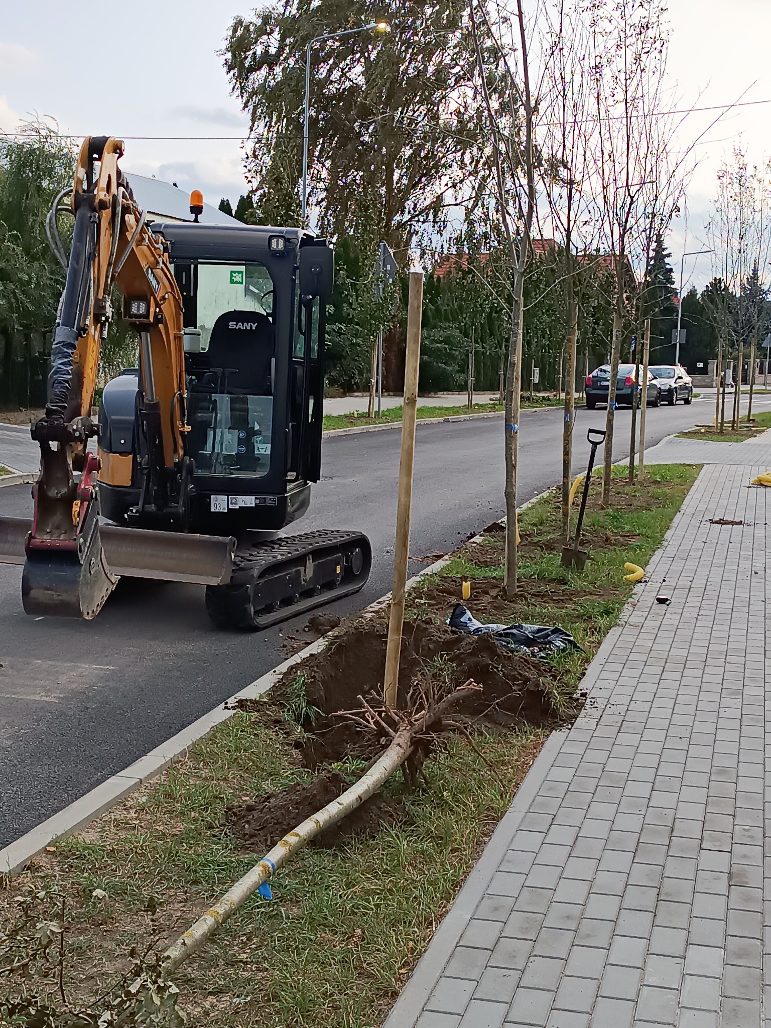Mini koparka SANY przygotowuje dołek pod sadzenie drzewa przy chodniku z kostki brukowej, widoczna łopata i drzewa czekające na posadzenie wzdłuż ulicy.