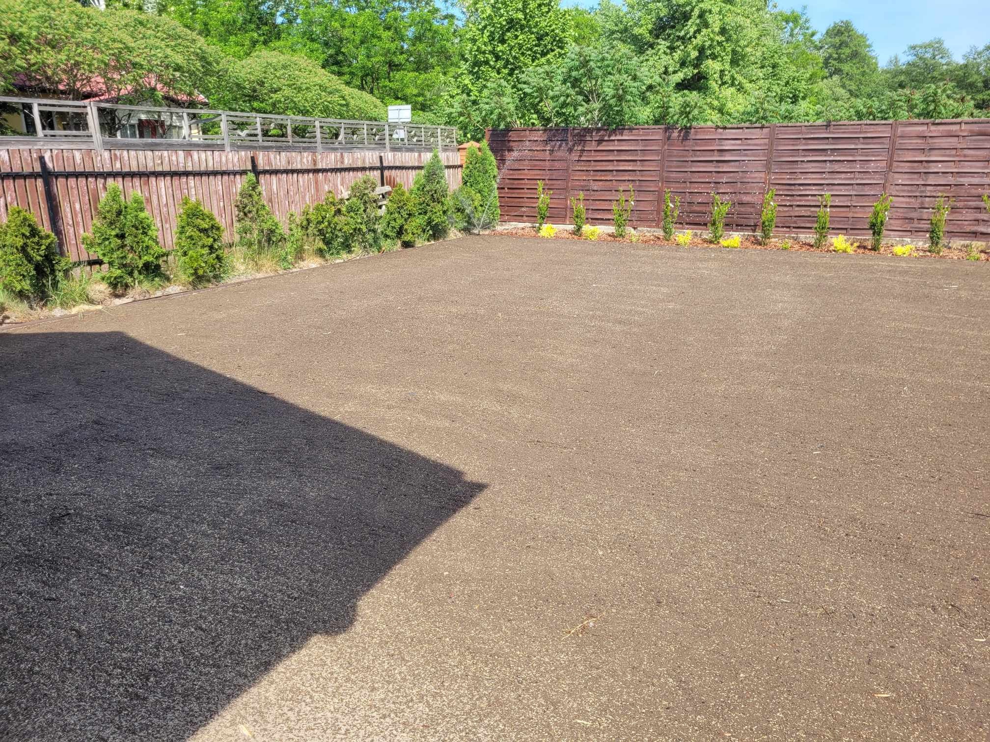 Przygotowany teren pod trawnik z rolki, widoczne małe drzewka iglaste wzdłuż płotu, cień budynku w lewym dolnym rogu.