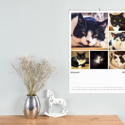 Marcin Konopnicki Portfolio - Kalendarz ścienny na rok 2023 z kolażem zdjęć czarno-białych kotów, wiszący na ścianie nad drewnianym blatem z srebrnym wazonem z suchymi kwiatami i białą figurką konika na biegunach.