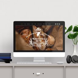 Projektowanie stron internetowych Płoty 3