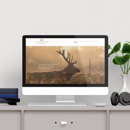 Projektowanie stron internetowych Płoty 4