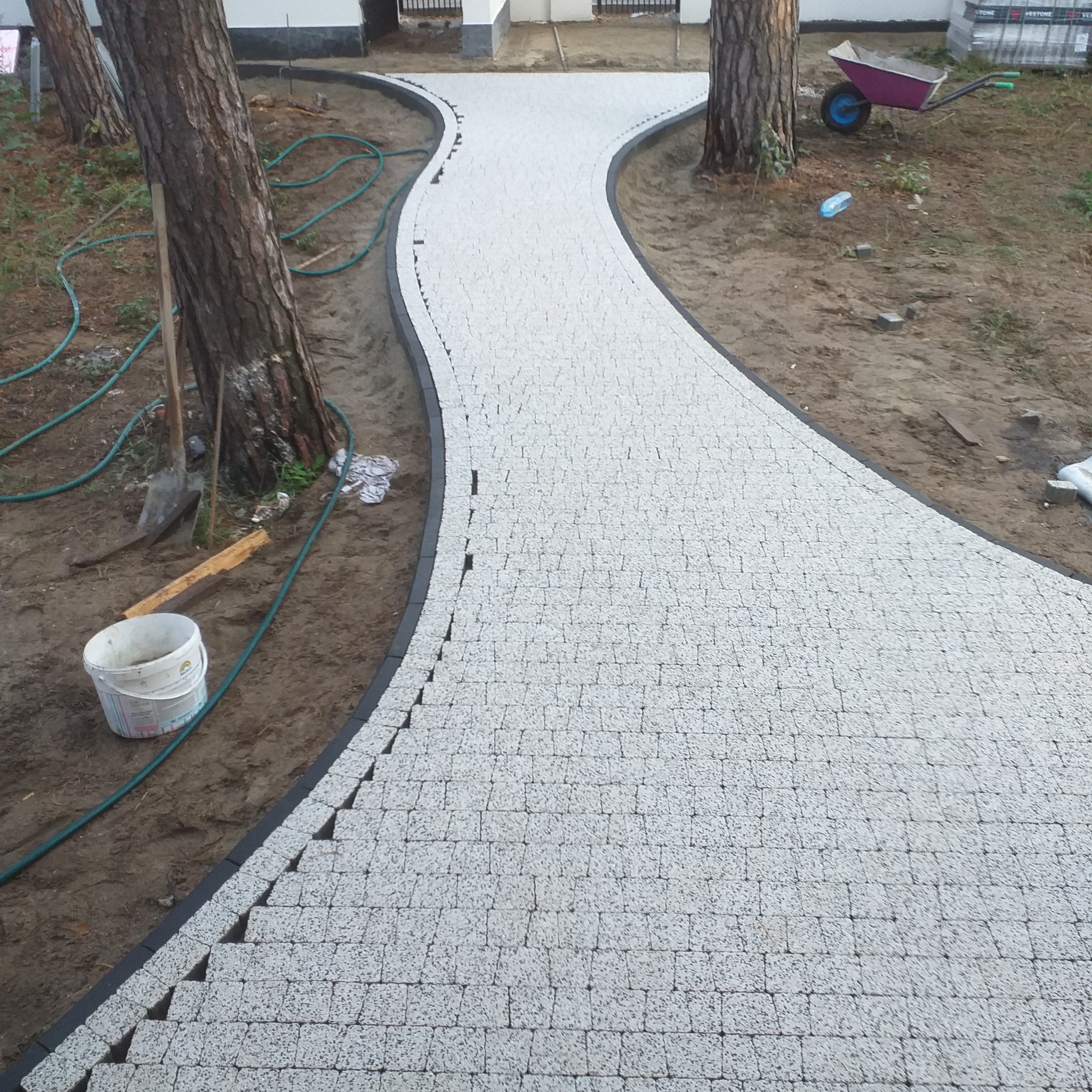Nowo ułożona, kręta ścieżka z jasnoszarej kostki brukowej z czarnym obrzeżem w ogrodzie w Warszawie, widoczne narzędzia i taczka w tle.