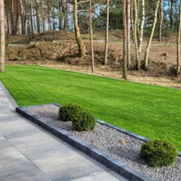 Świeżo założony trawnik z rolki, graniczący z szarym chodnikiem z kostki i rabatą z krzewami na tle leśnym.