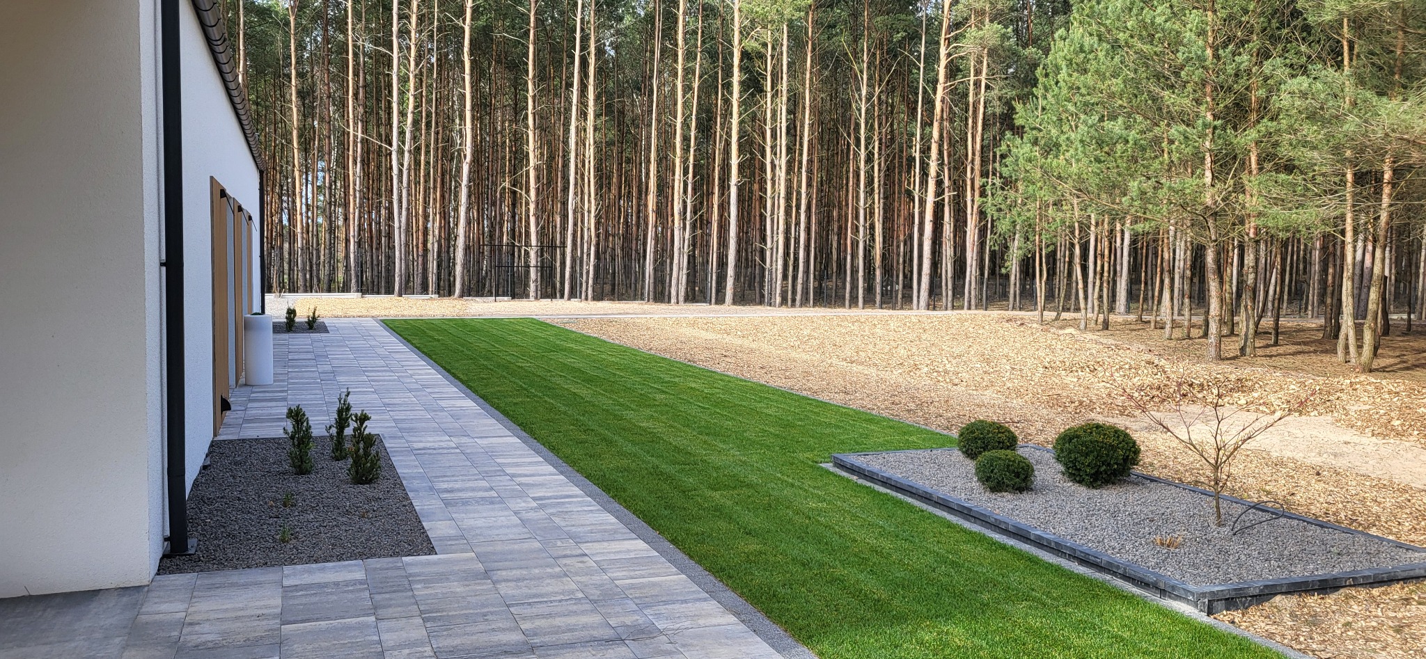 Nowoczesny ogród z równo przystrzyżonym trawnikiem, szarym brukowanym chodnikiem i rabatami z krzewami na tle wysokiego lasu.