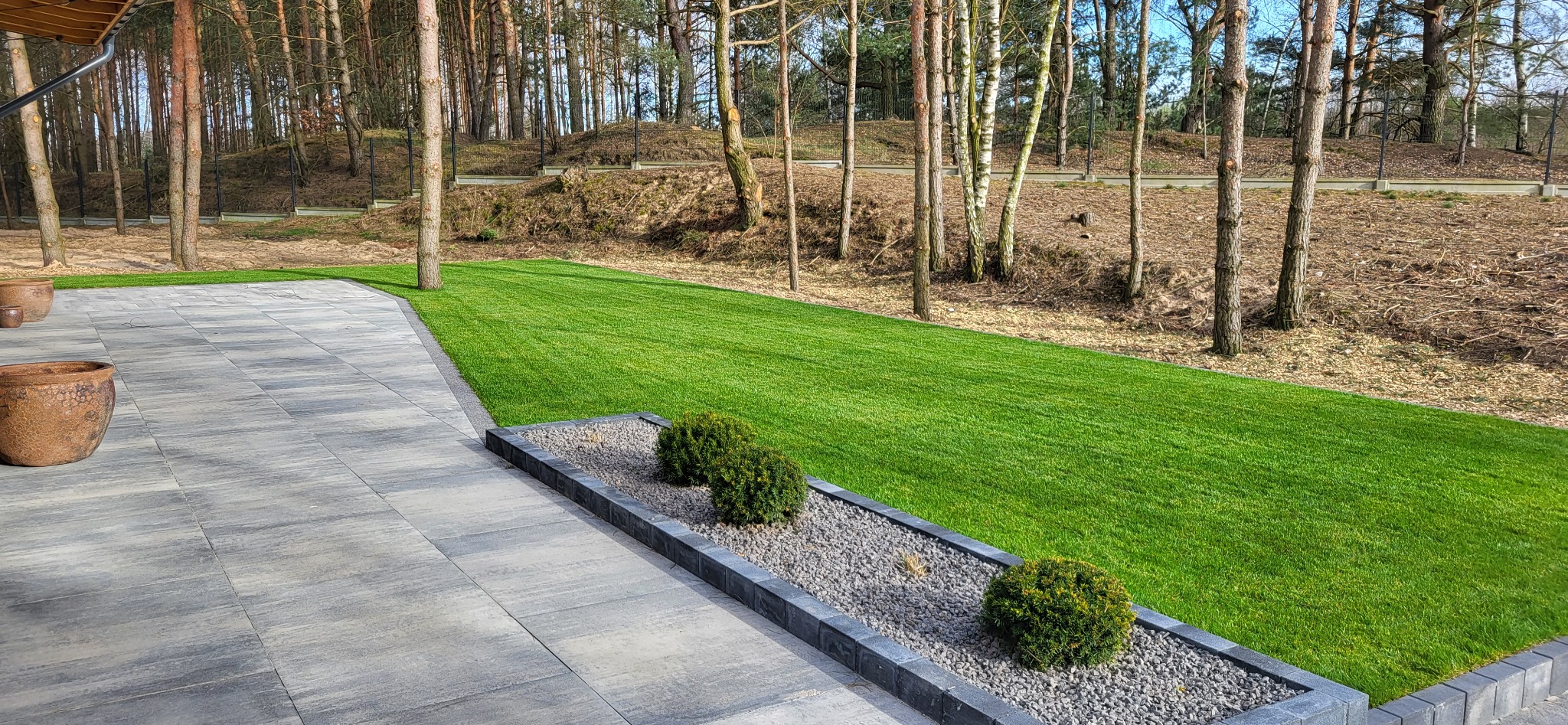 Świeżo założony trawnik z rolki, graniczący z szarym chodnikiem z kostki i rabatą z krzewami na tle leśnym.