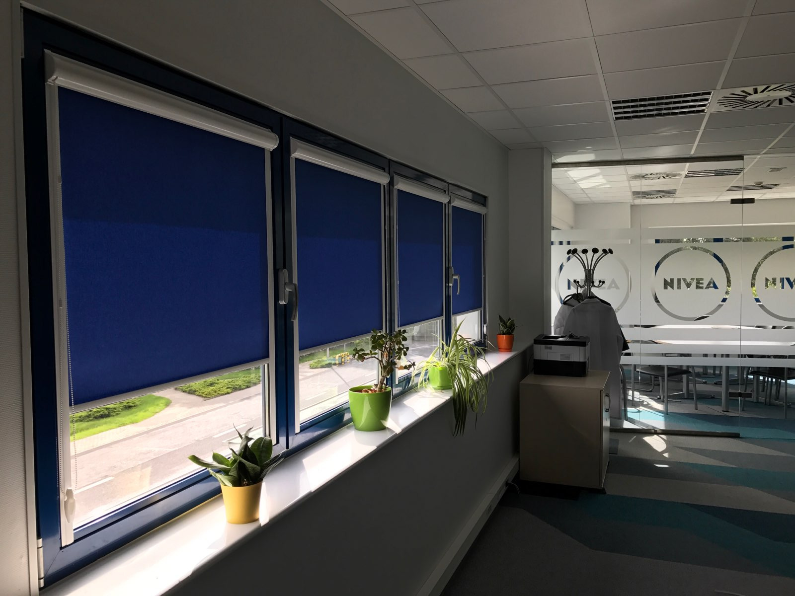 Niebieskie rolety wewnętrzne w oknach biura z logo NIVEA na szklanej ścianie, z roślinami doniczkowymi na parapecie.