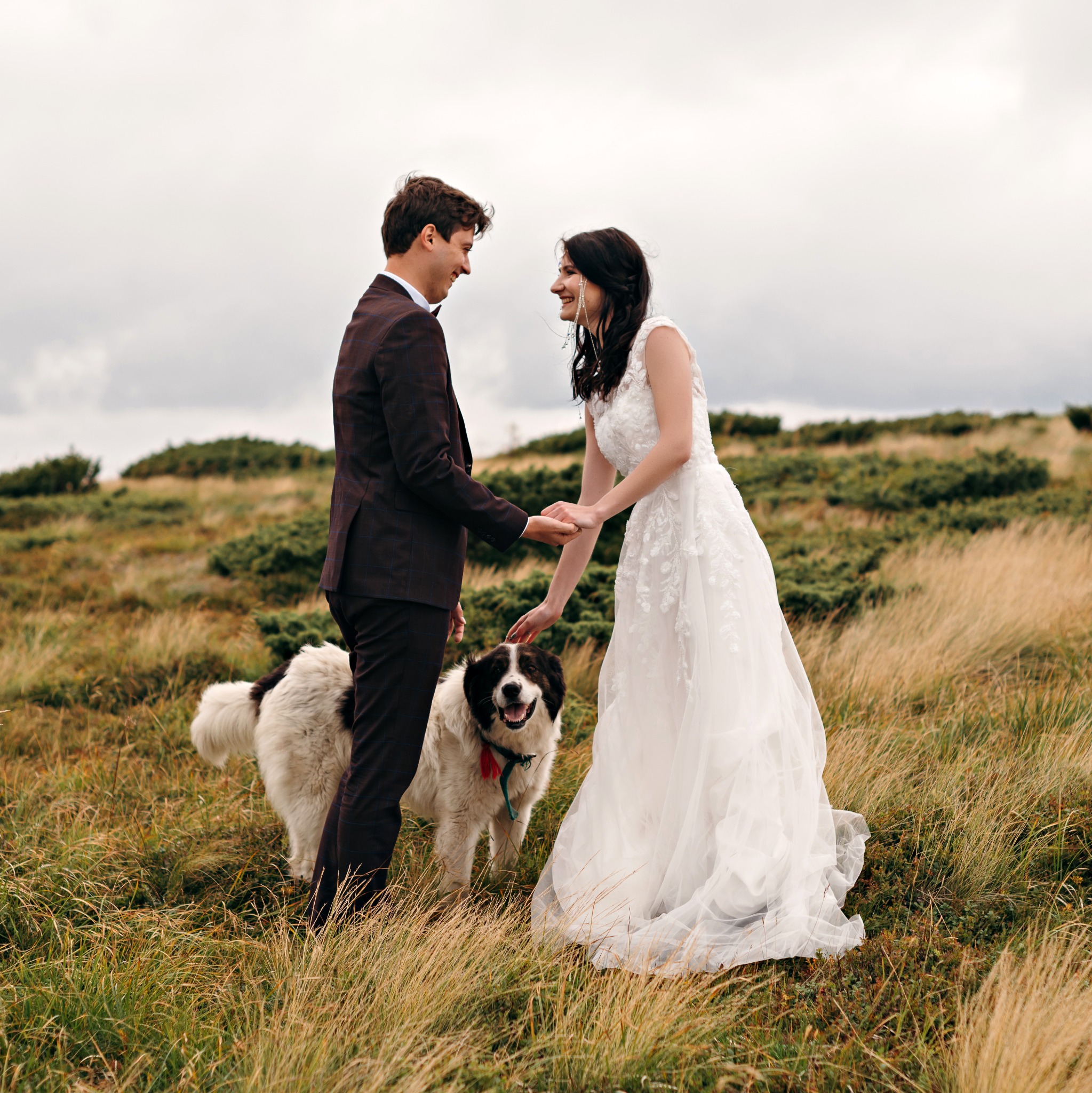 Uśmiechnięta para młoda trzymająca się za ręce w plenerze, panna młoda głaszcze dużego psa rasy Landseer z czerwoną i zieloną obrożą.