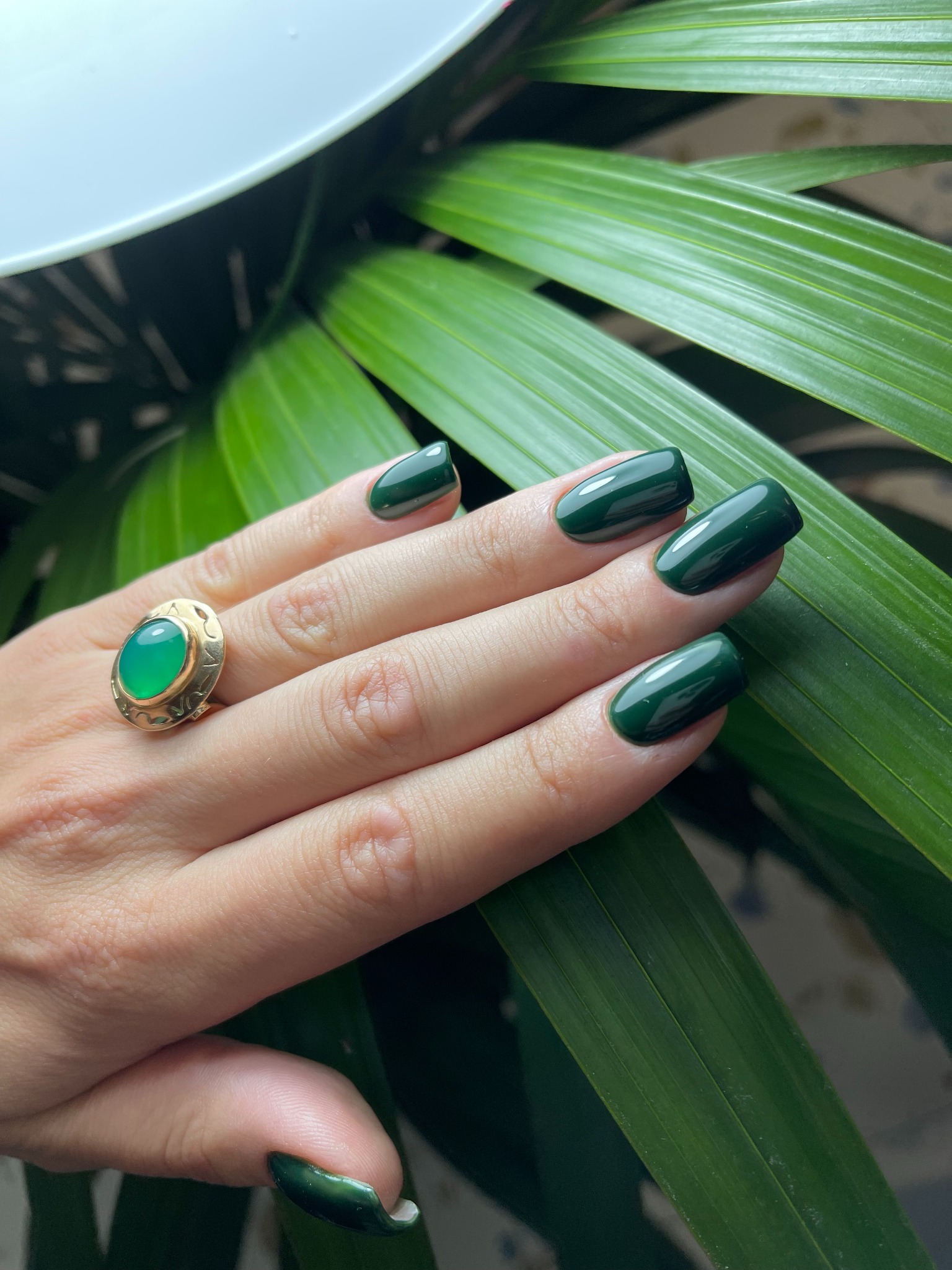 Dłoń z ciemnozielonymi, błyszczącymi paznokciami na tle zielonych liści rośliny; na palcu pierścionek ze szmaragdowym oczkiem w złotej oprawie.