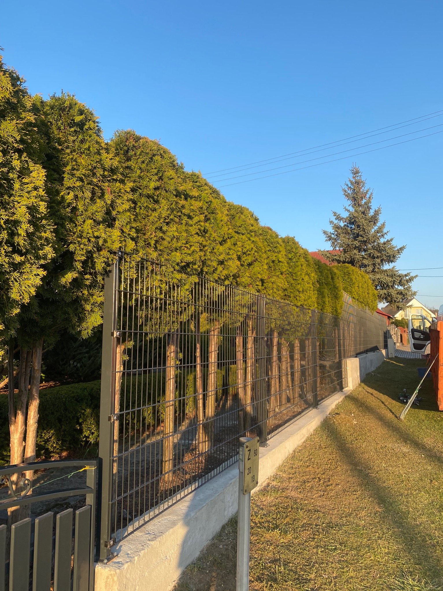 Metalowe ogrodzenie panelowe na betonowej podmurówce, przylegające do rzędu wysokich, zielonych tuj. Widoczne słupki i brama w tle, błękitne niebo.