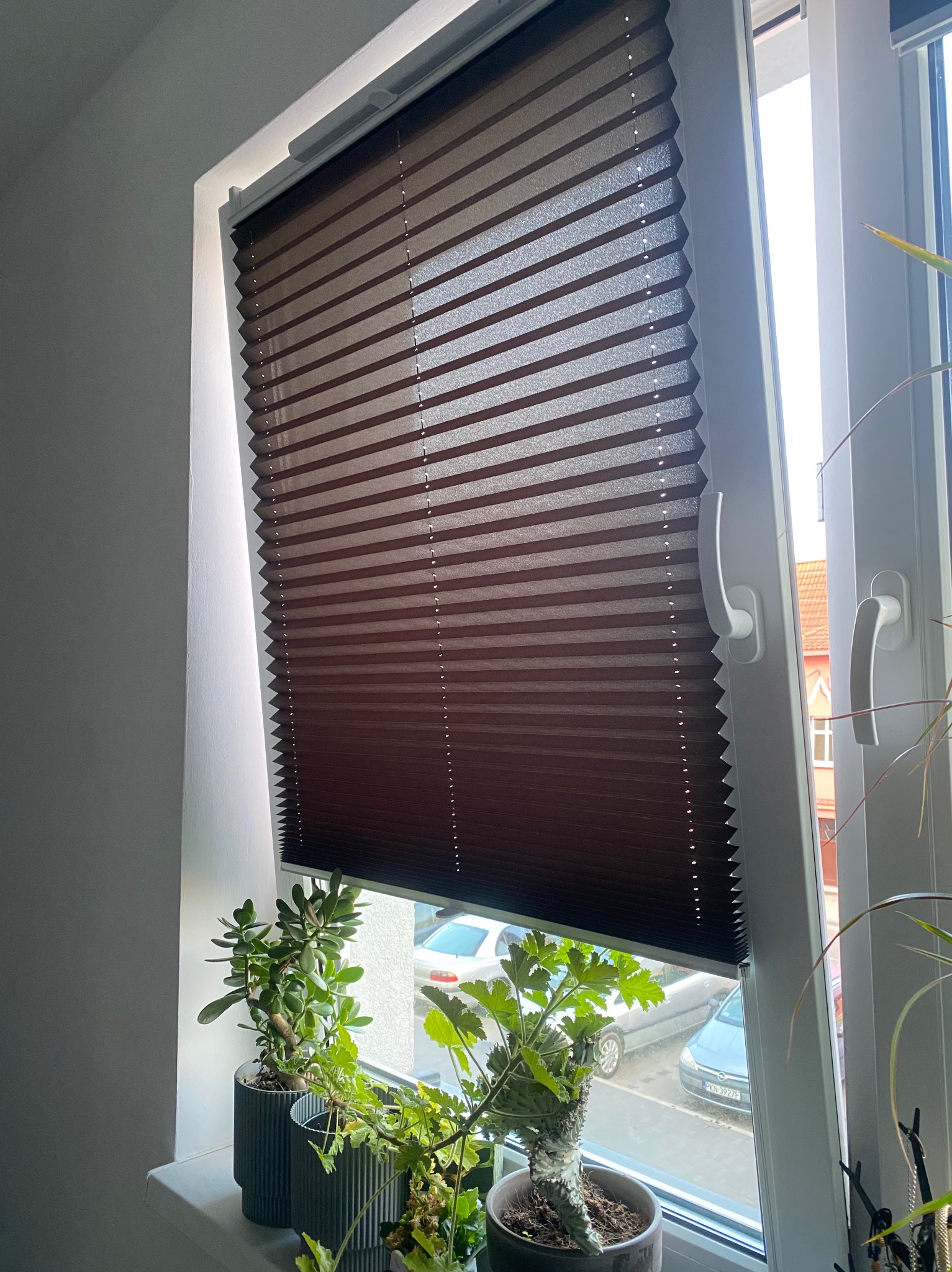 Ciemnobrązowa plisa okienna zamontowana w białym oknie, częściowo zasłonięta. Na parapecie doniczkowe rośliny. Widok na ulicę przez otwarte okno.
