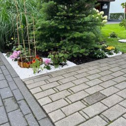 Robik , Sylwia Stępień - Uporządkowany ogród z białym żwirem, kwiatami i iglakiem przy chodniku z kostki brukowej, widok z poziomu gruntu.