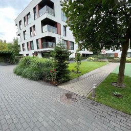 Robik , Sylwia Stępień - Nowoczesny budynek biurowy z zielonym otoczeniem, widok z poziomu chodnika z kostki brukowej, na pierwszym planie studzienka kanalizacyjna.