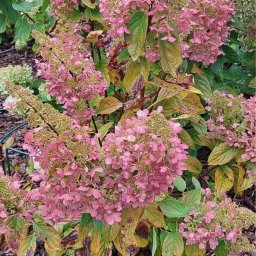 Sprzątanie biur Warszawa 4