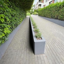 Robik , Sylwia Stępień - Ujęcie z perspektywy chodnika z szarej kostki, otoczonego z jednej strony ścianą zieleni pnącej się po murze, a z drugiej podłużną, betonową donicą z niskimi krzewami, prowadzącego w stronę...