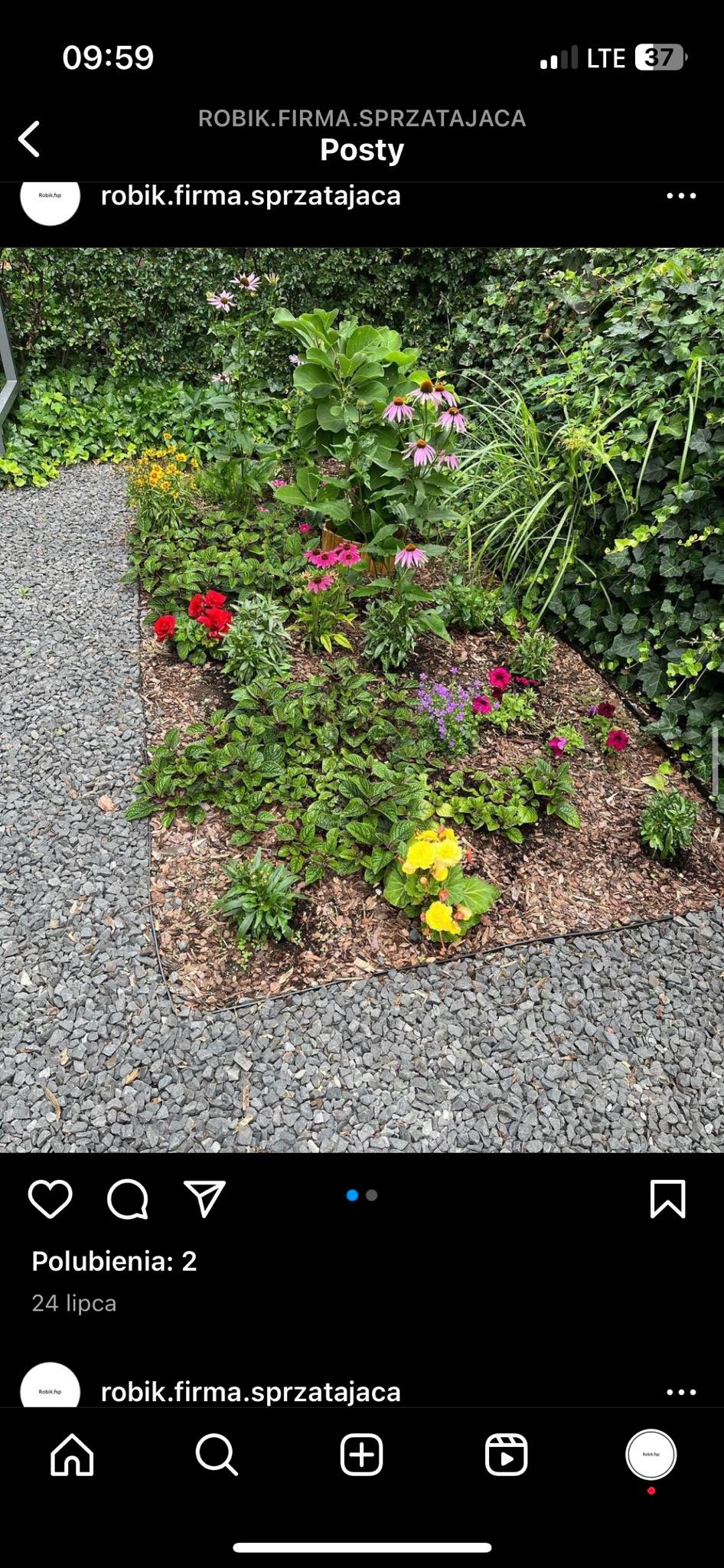 Uporządkowany klomb z różnorodnymi kwiatami w odcieniach czerwieni, różu i żółci, oddzielony żwirową ścieżką od bujnej zieleni.