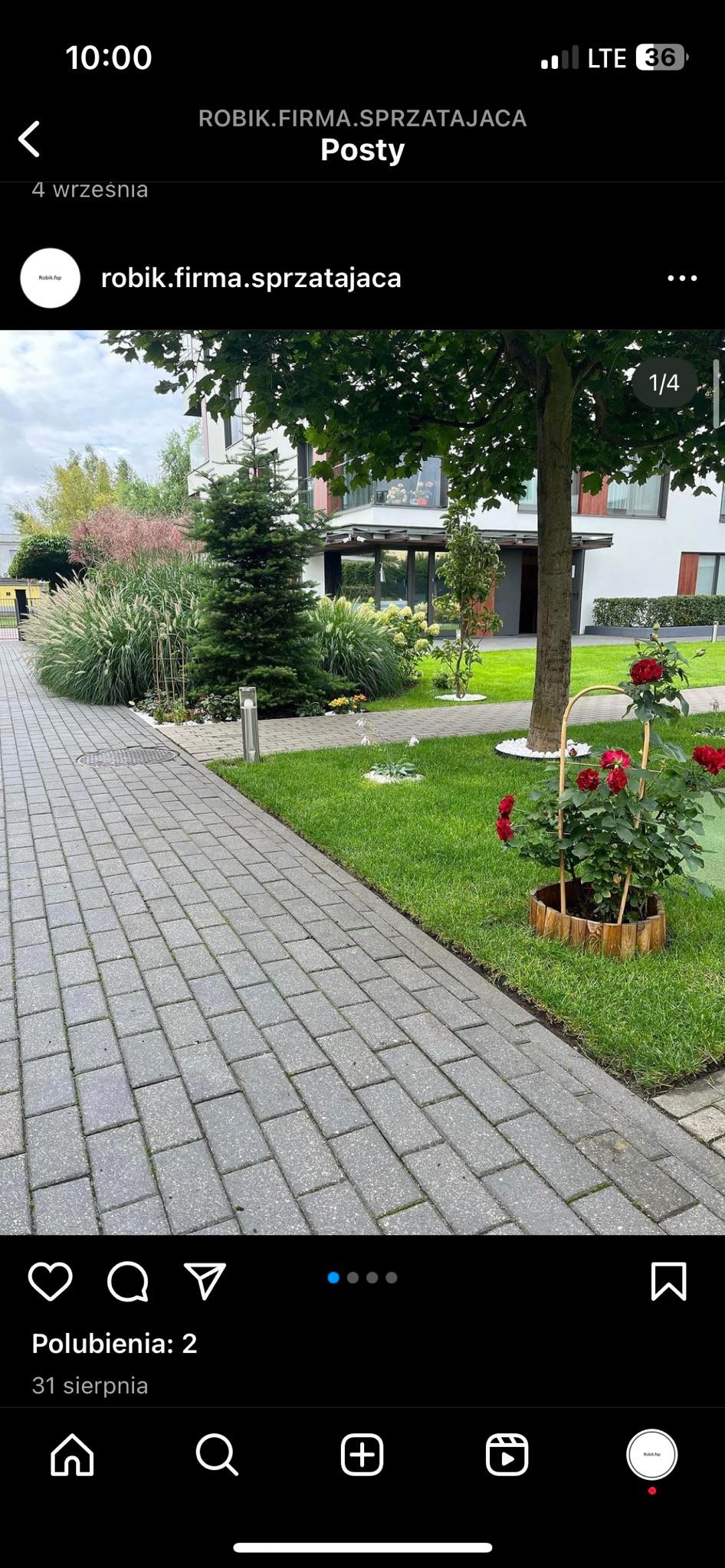 Utrzymany w czystości i zadbany teren zielony przed budynkiem mieszkalnym, z równo przystrzyżonym trawnikiem, ozdobnymi krzewami i wyczyszczoną kostką brukową.