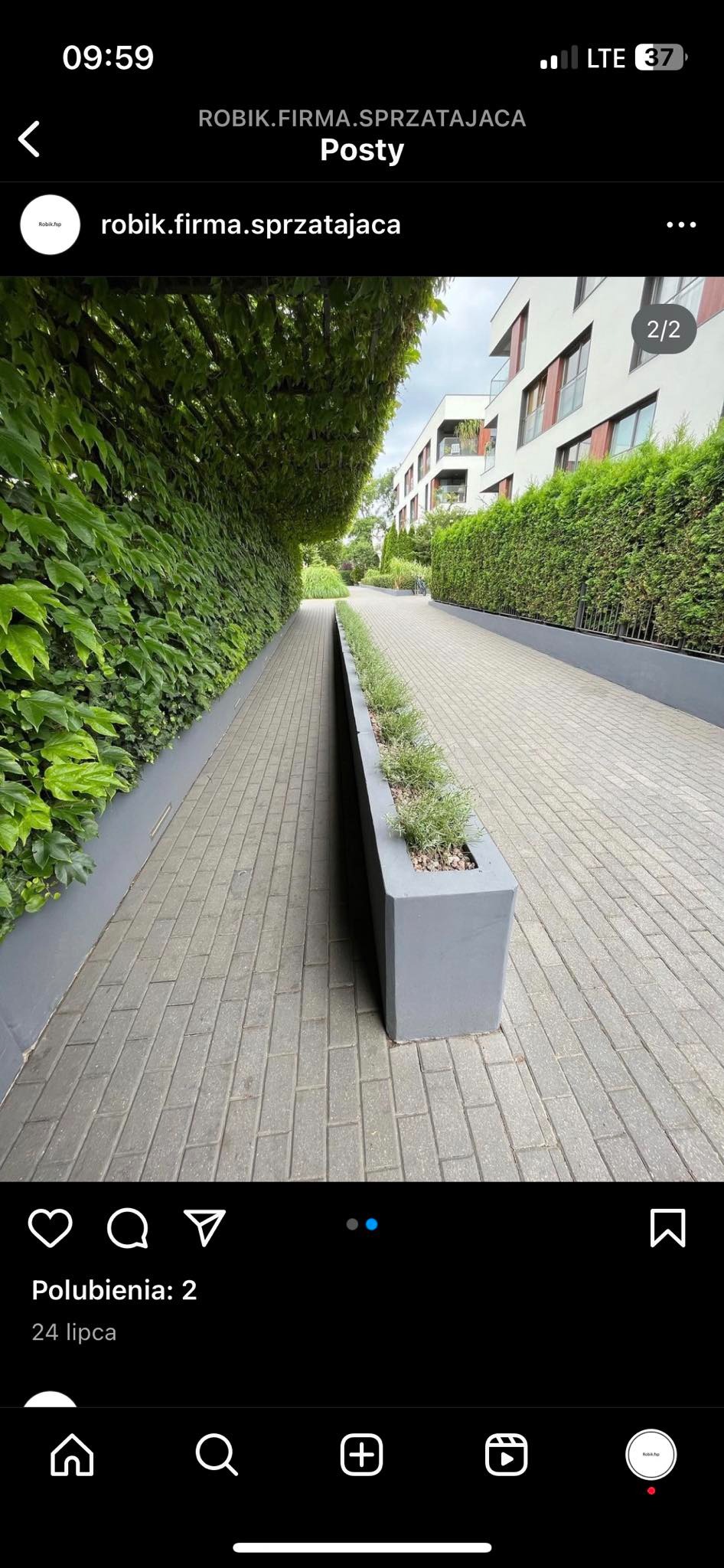 Ujęcie z perspektywy chodnika z szarej kostki, otoczonego z jednej strony ścianą zieleni pnącej się po murze, a z drugiej podłużną, betonową donicą z niskimi krzewami, prowadzącego w stronę...