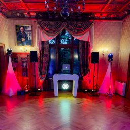 TWG - Elegancki DJ na imprezę